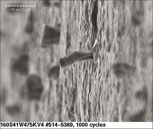 1210 size pure tin 2500x magnification 1000 Temperature Cycles
